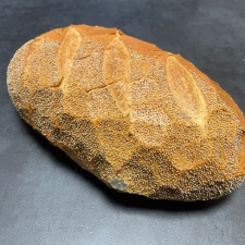 Franskbrød