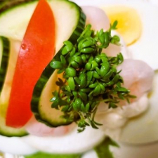 Smørrebrød